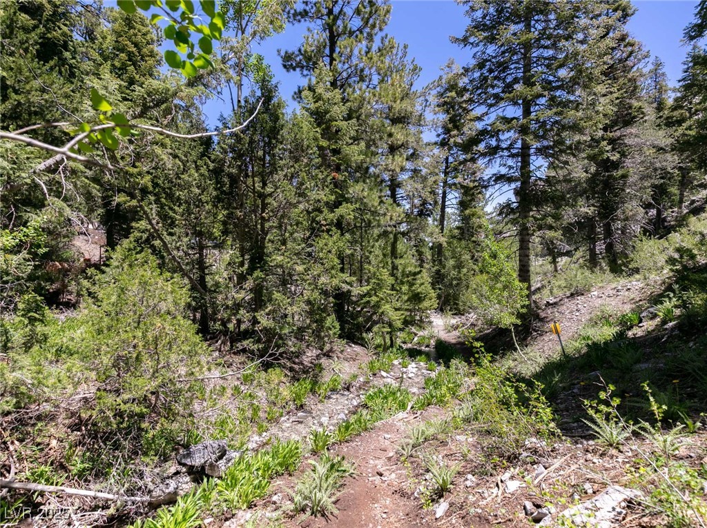 4085 Cougar Ridge Trail Property Photo 35