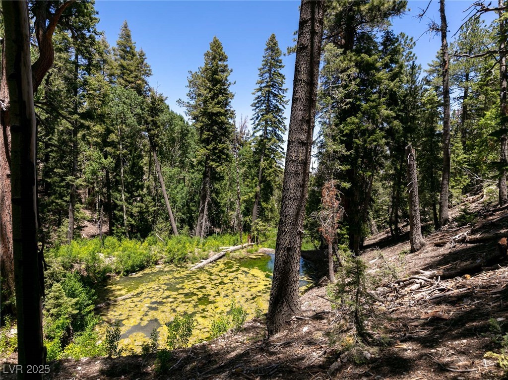 4085 Cougar Ridge Trail Property Photo 37