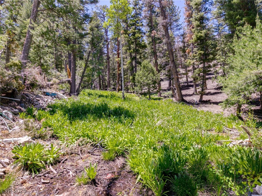 4085 Cougar Ridge Trail Property Photo 39