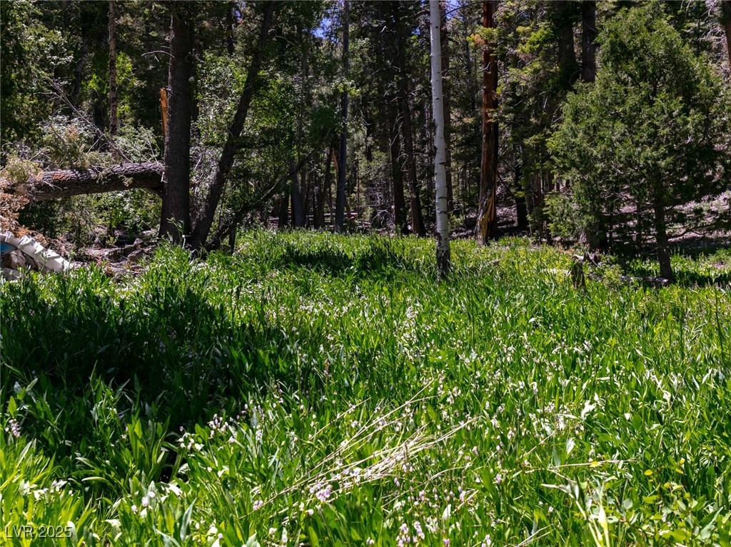 4085 Cougar Ridge Trail Property Photo 42