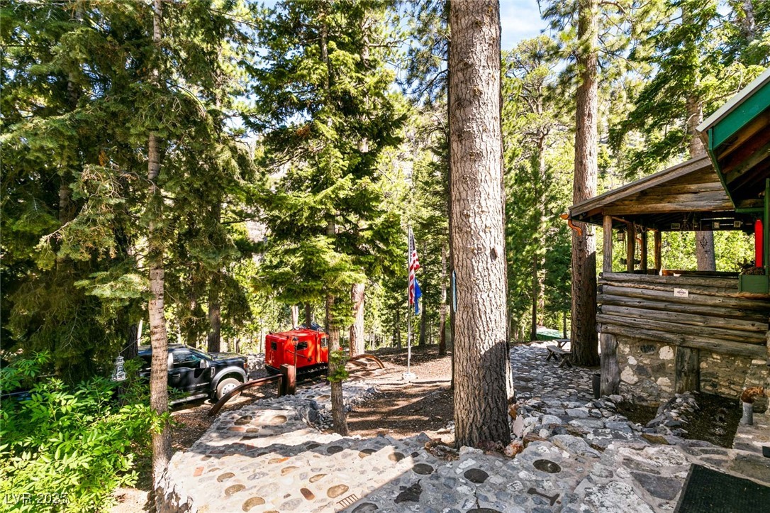 4085 Cougar Ridge Trail Property Photo 52