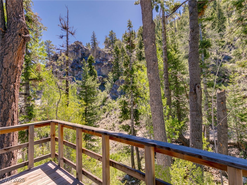 4085 Cougar Ridge Trail Property Photo 57