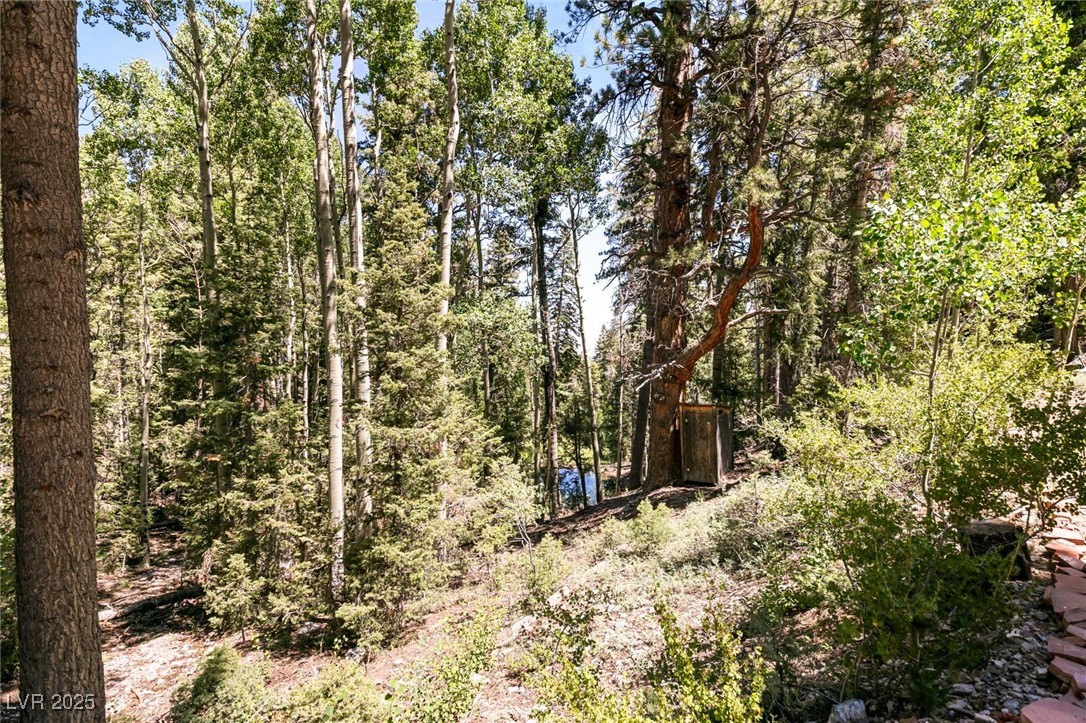 Apn 128-07-201-017 N Fork Deer Creek Property Photo 39