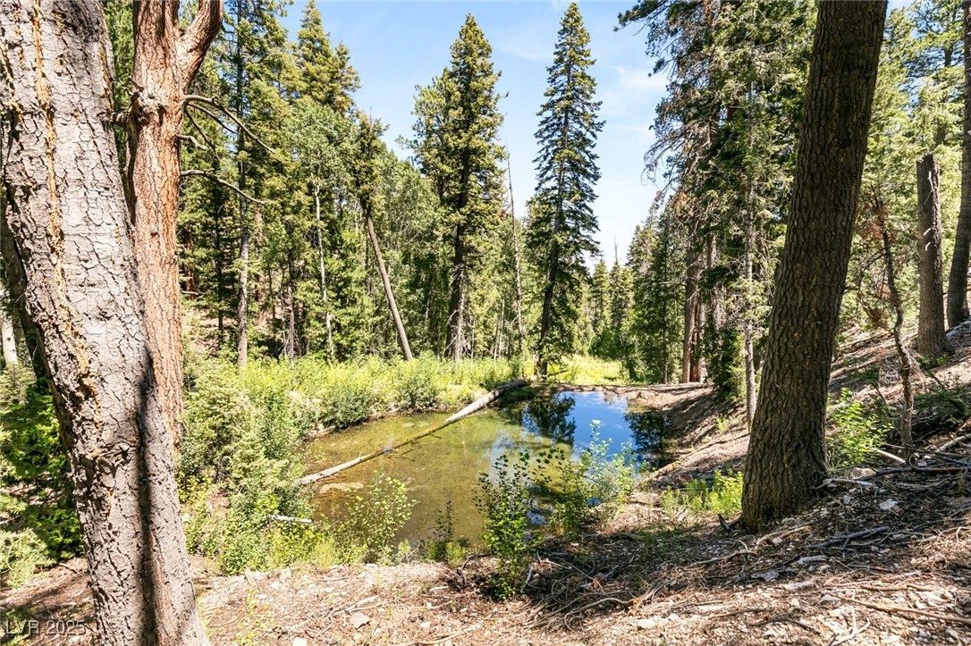 Apn 128-07-201-017 N Fork Deer Creek Property Photo 40