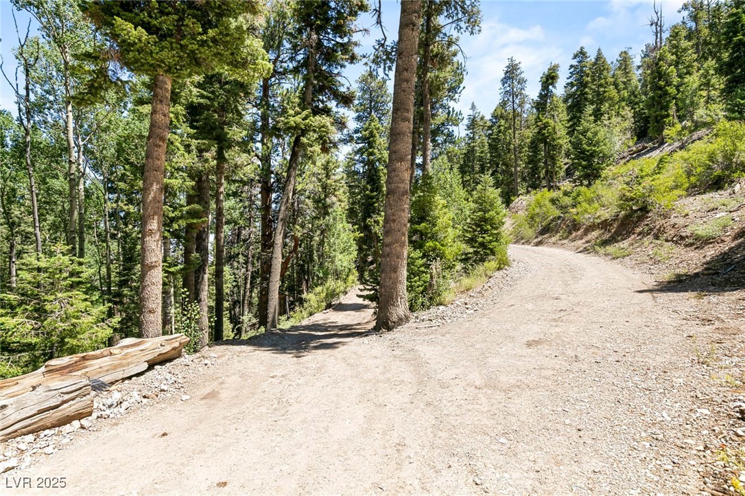 Apn 128-07-201-017 N Fork Deer Creek Property Photo 41