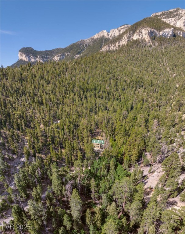 Apn 128-07-201-017 N Fork Deer Creek Property Photo 44