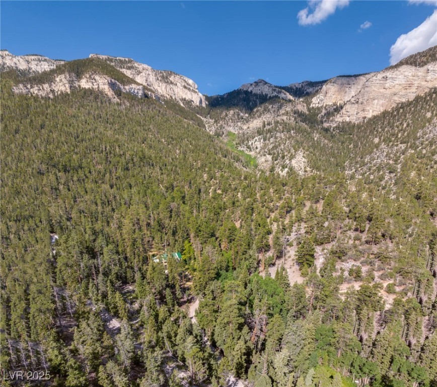 Apn 128-07-201-017 N Fork Deer Creek Property Photo 45