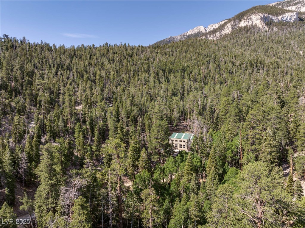 Apn 128-07-201-017 N Fork Deer Creek Property Photo 46