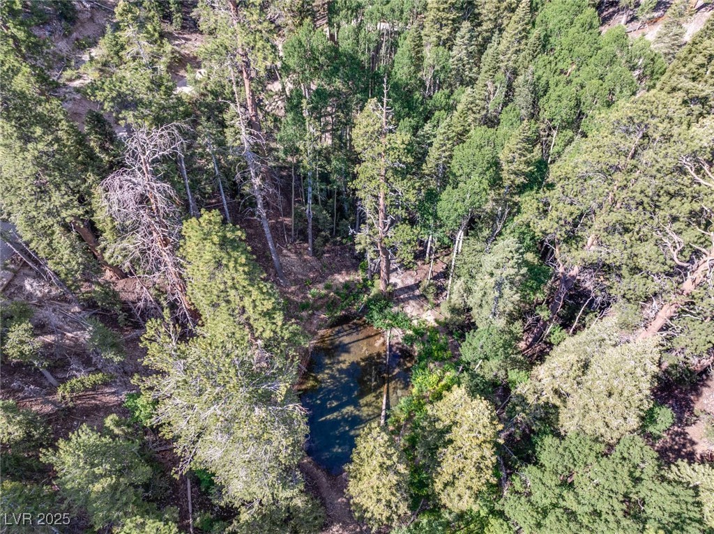 Apn 128-07-201-017 N Fork Deer Creek Property Photo 47