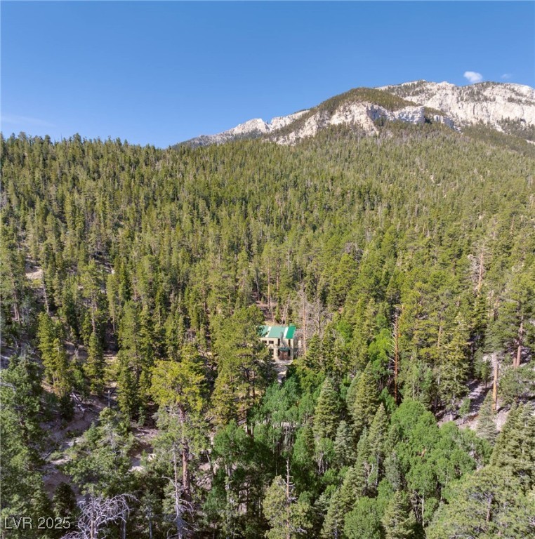 Apn 128-07-201-017 N Fork Deer Creek Property Photo 48