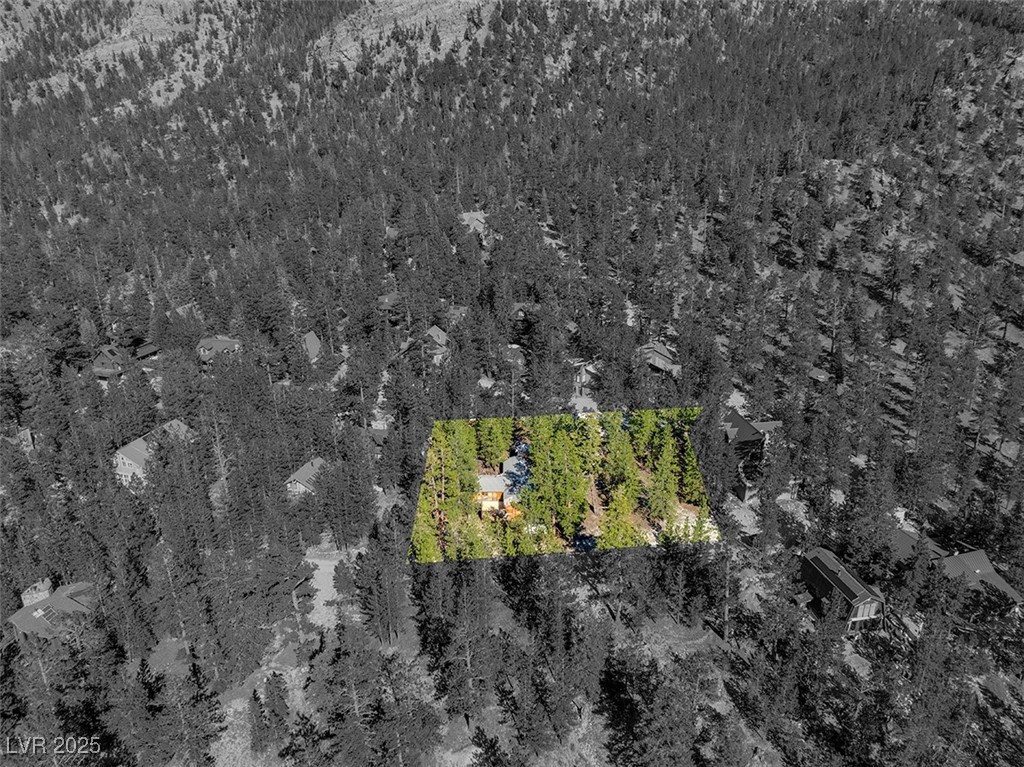 2130 Via Spes Nostra Street Property Photo 5