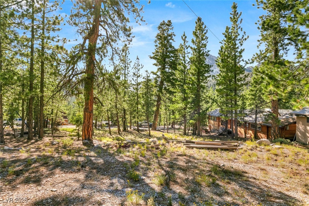 2130 Via Spes Nostra Street Property Photo 17