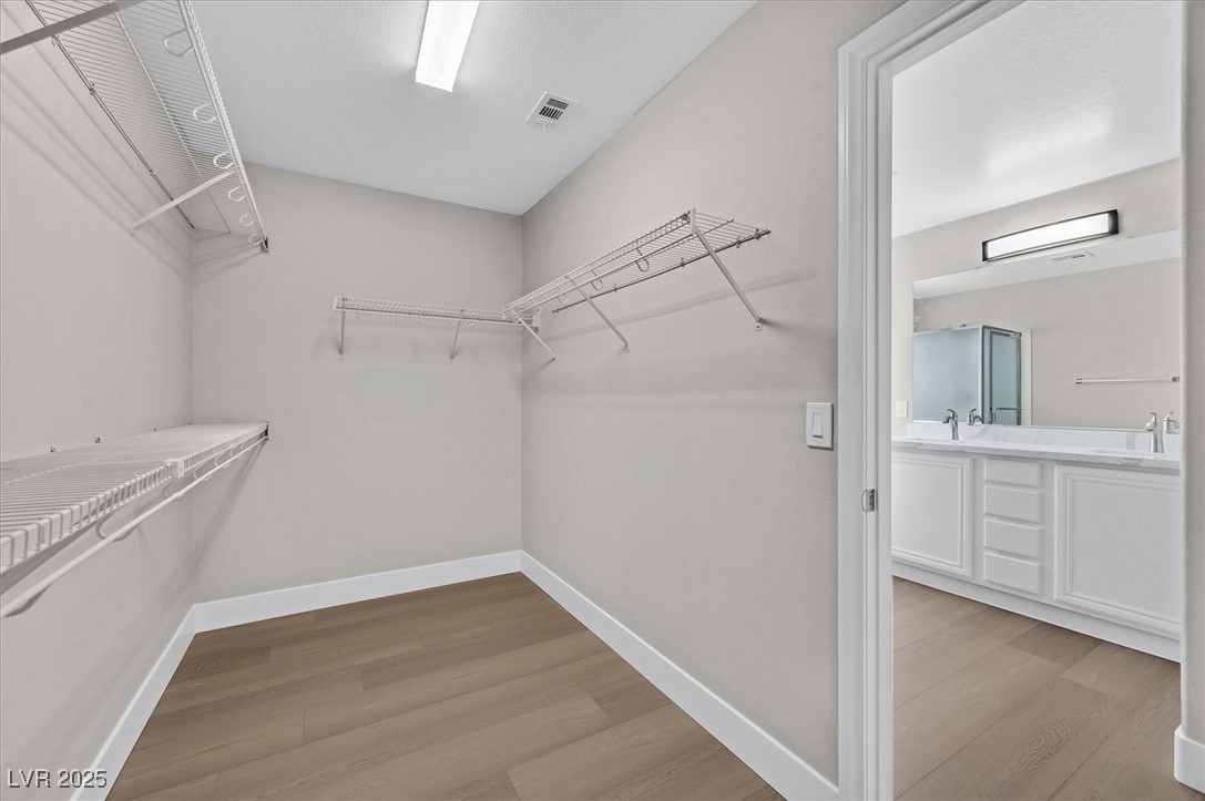 6486 Robusta Court Property Photo 12