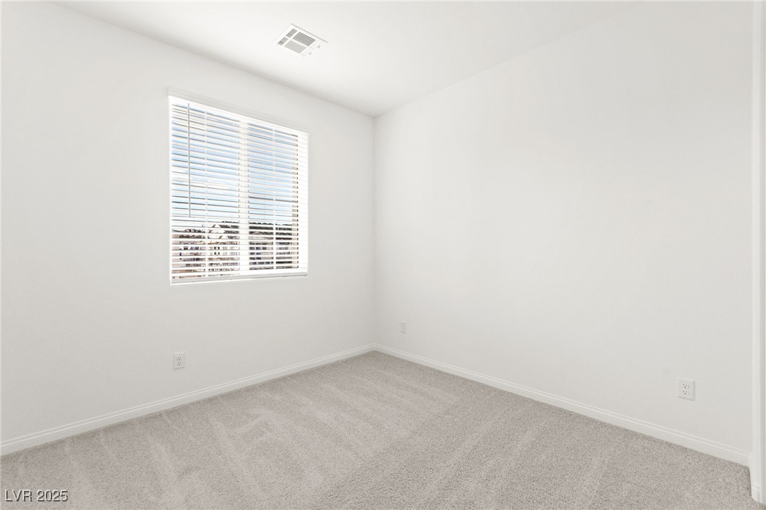 10146 Gabby Glen Street Property Photo 17