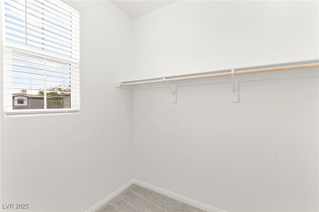 10146 Gabby Glen Street Property Photo 19