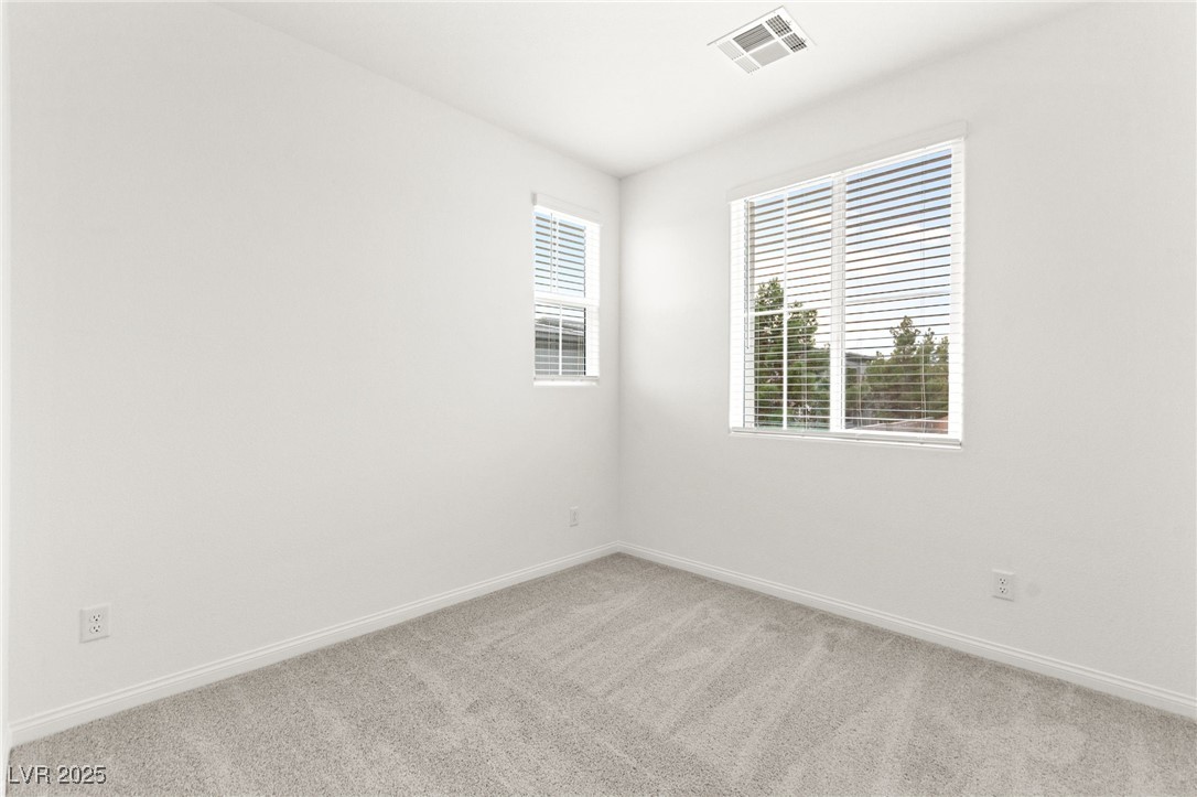 10146 Gabby Glen Street Property Photo 20