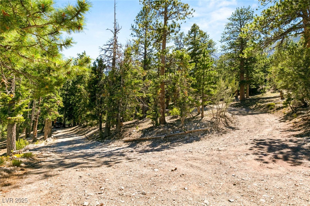 4075 Cougar Ridge Trail Property Photo 37