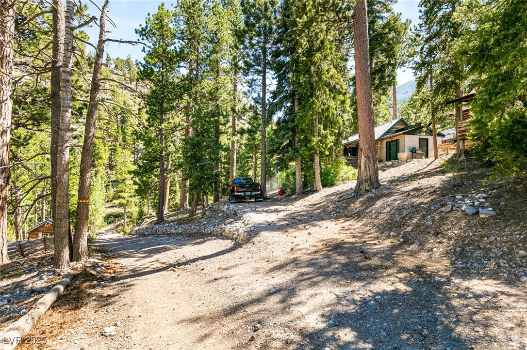 4075 Cougar Ridge Trail Property Photo 42