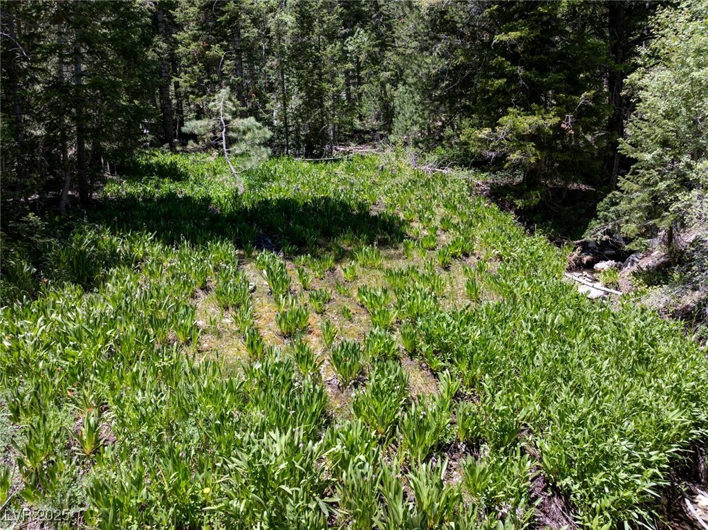 4075 Cougar Ridge Trail Property Photo 43