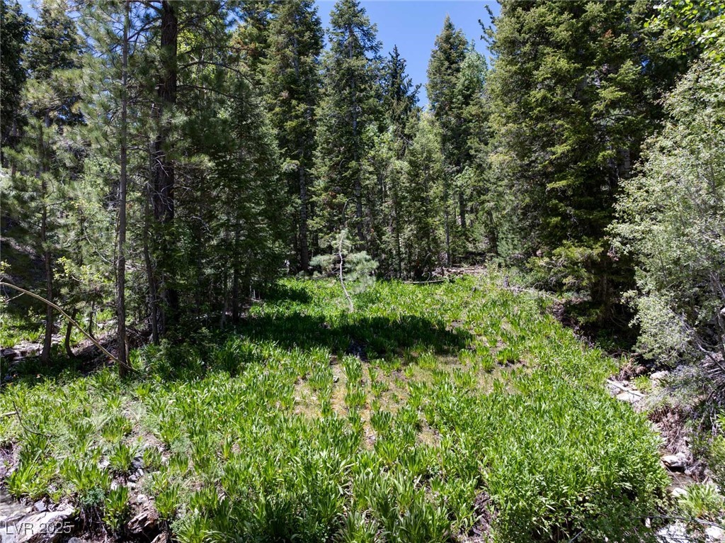 4075 Cougar Ridge Trail Property Photo 44
