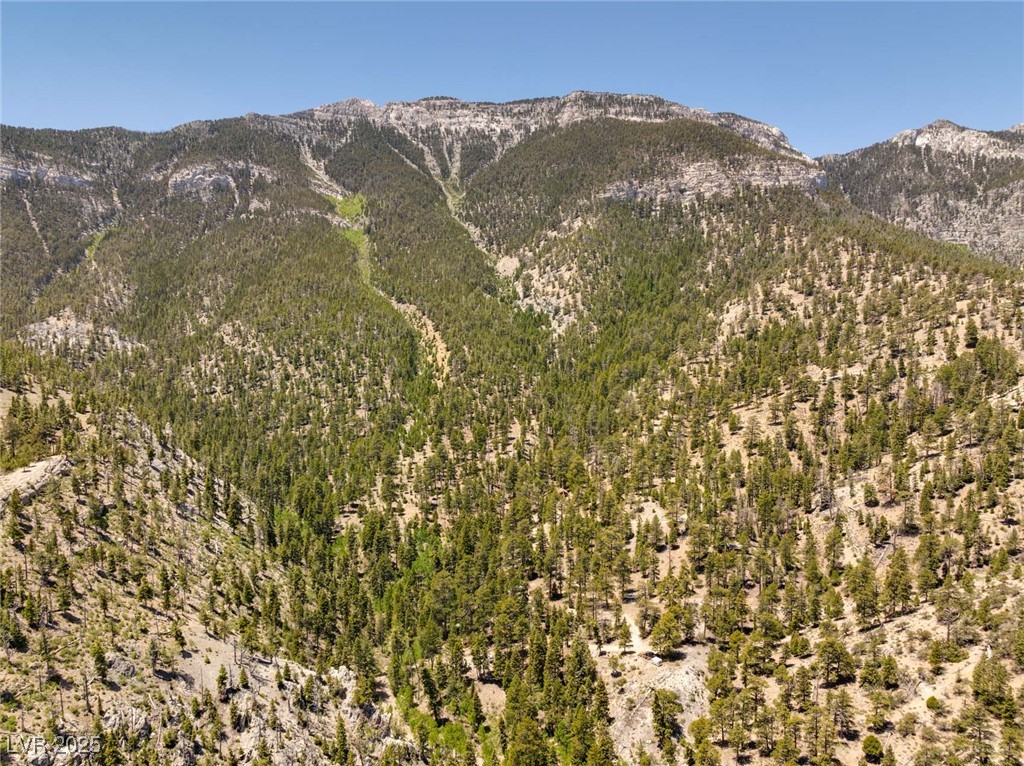 4075 Cougar Ridge Trail Property Photo 46