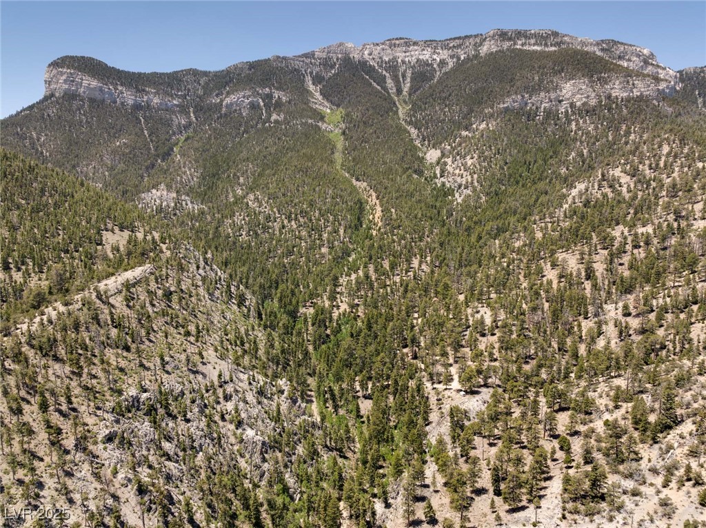 4075 Cougar Ridge Trail Property Photo 48
