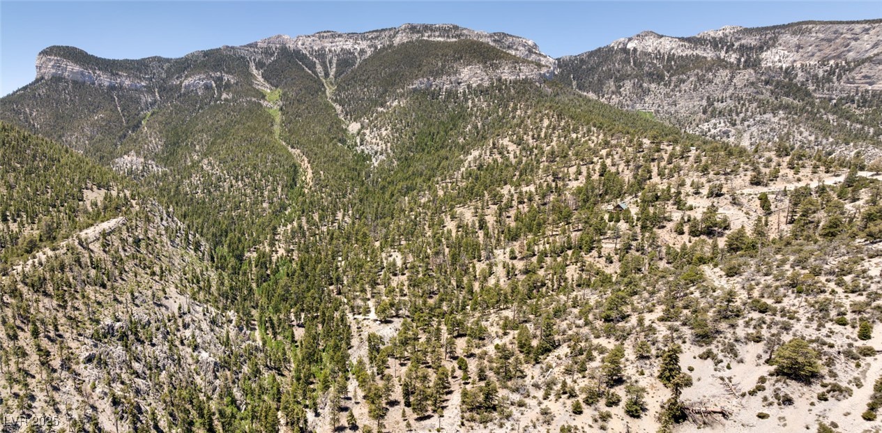 4075 Cougar Ridge Trail Property Photo 49