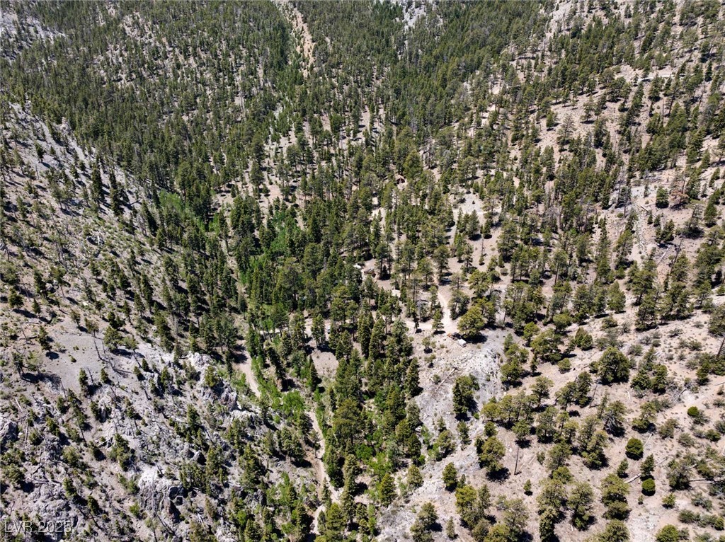 4075 Cougar Ridge Trail Property Photo 51
