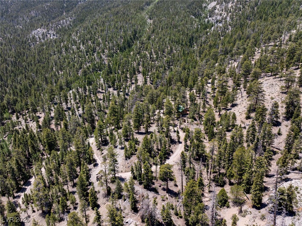 4075 Cougar Ridge Trail Property Photo 52