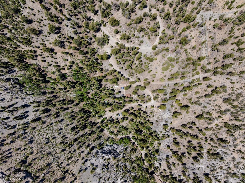 4075 Cougar Ridge Trail Property Photo 53