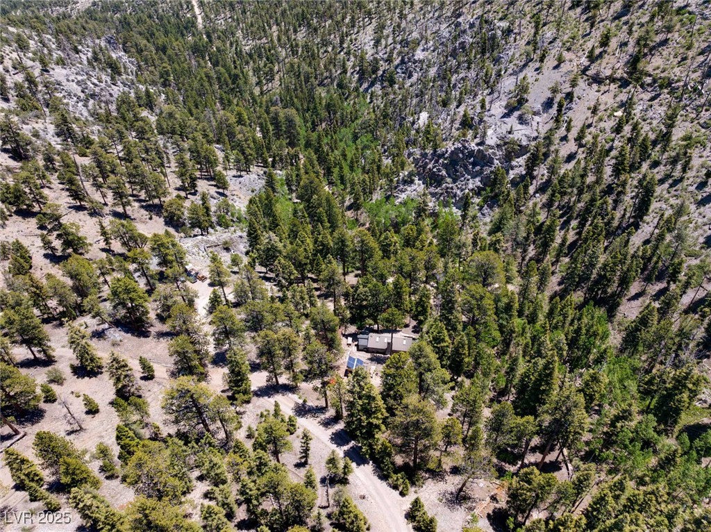 4075 Cougar Ridge Trail Property Photo 54