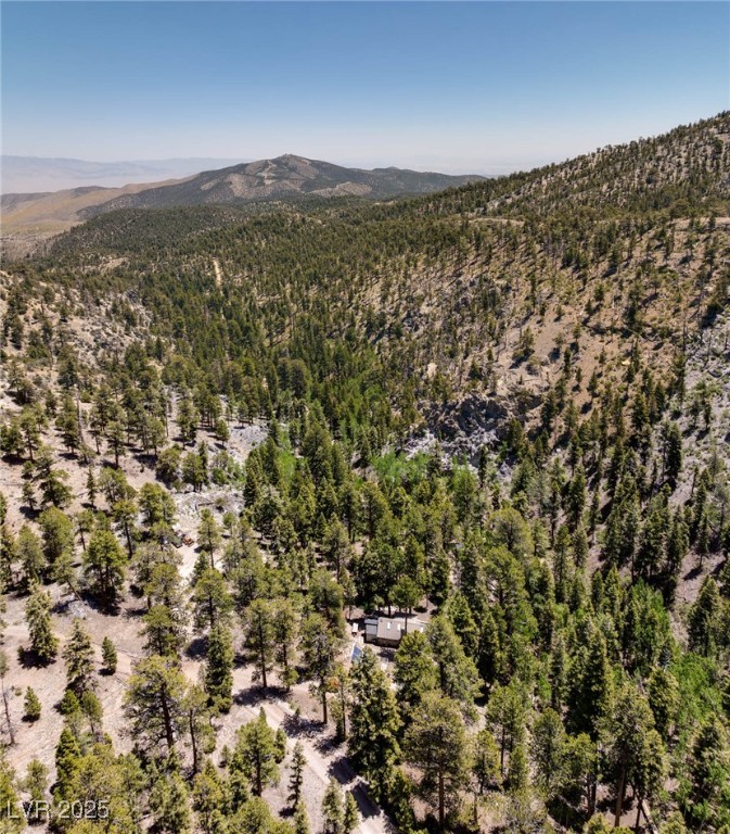 4075 Cougar Ridge Trail Property Photo 55