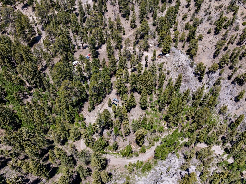 4075 Cougar Ridge Trail Property Photo 56