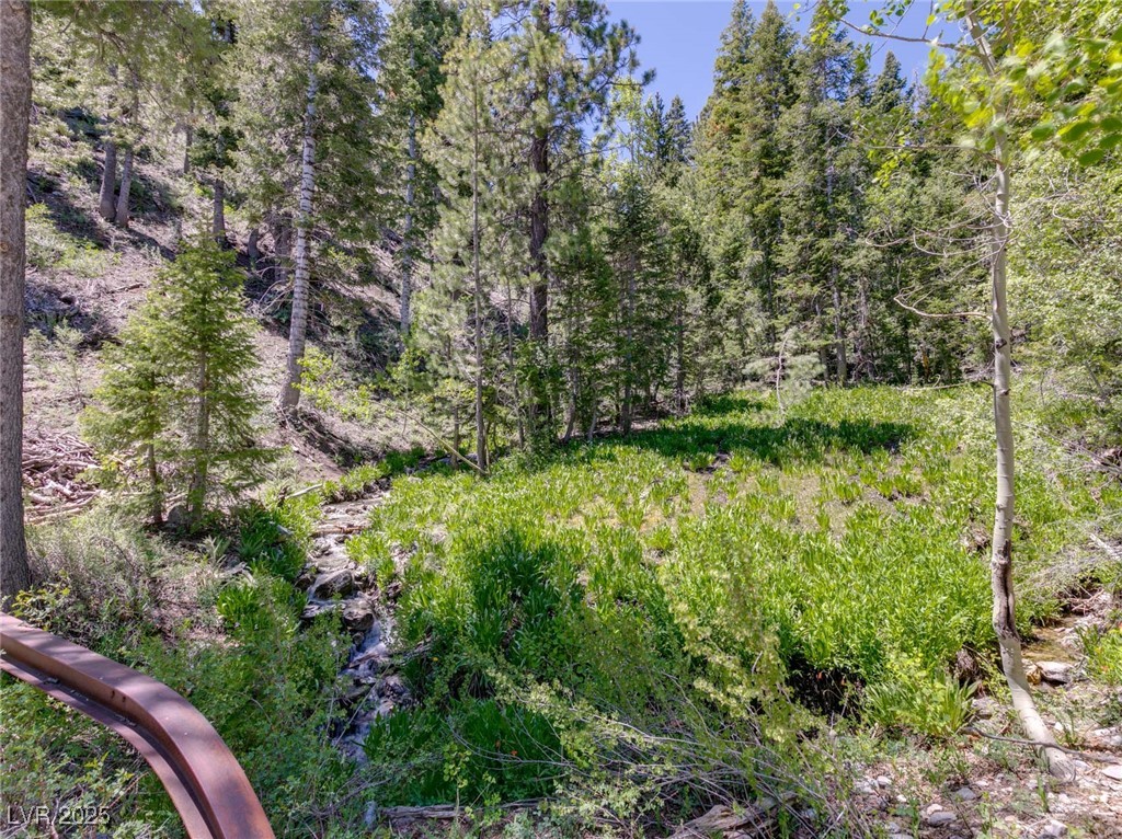 4075 Cougar Ridge Trail Property Photo 57