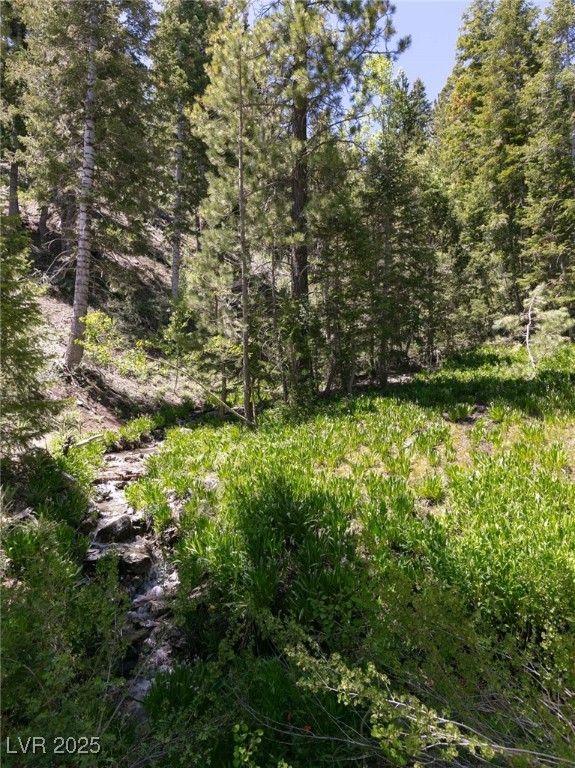 4075 Cougar Ridge Trail Property Photo 58
