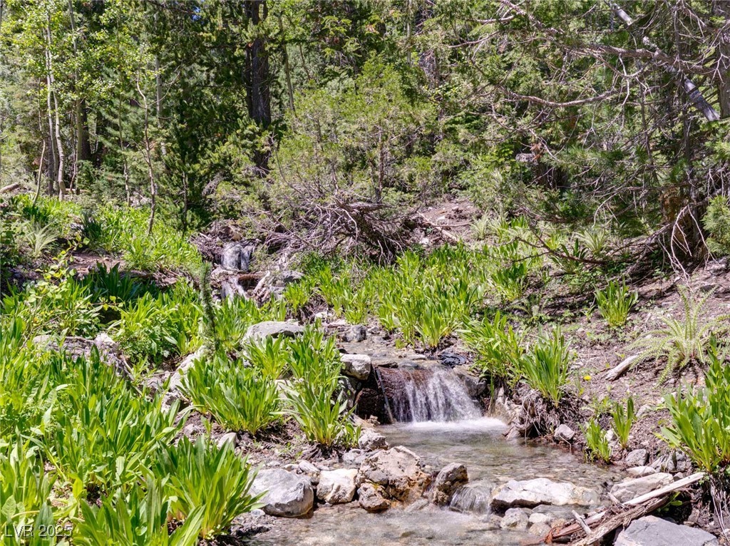 4075 Cougar Ridge Trail Property Photo 61