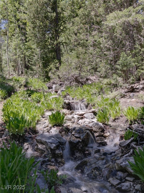 4075 Cougar Ridge Trail Property Photo 63