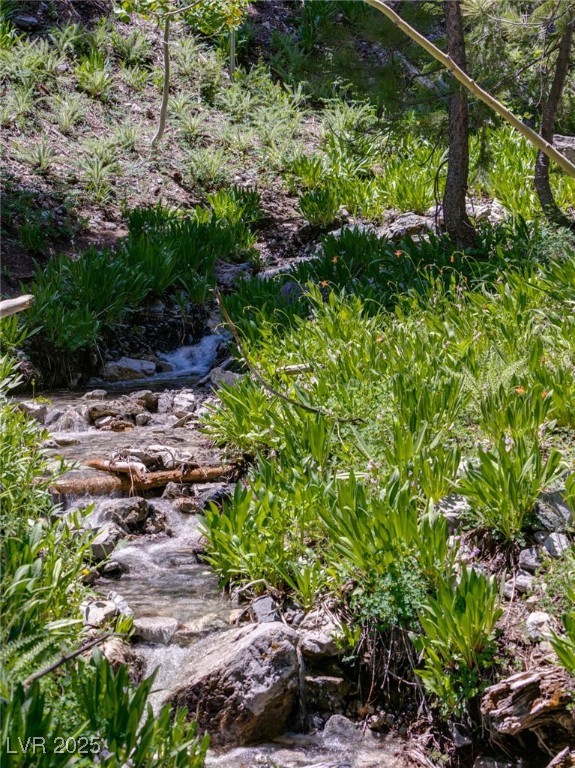 4075 Cougar Ridge Trail Property Photo 68