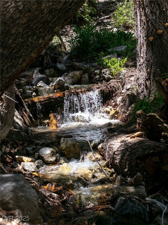 4075 Cougar Ridge Trail Property Photo 69
