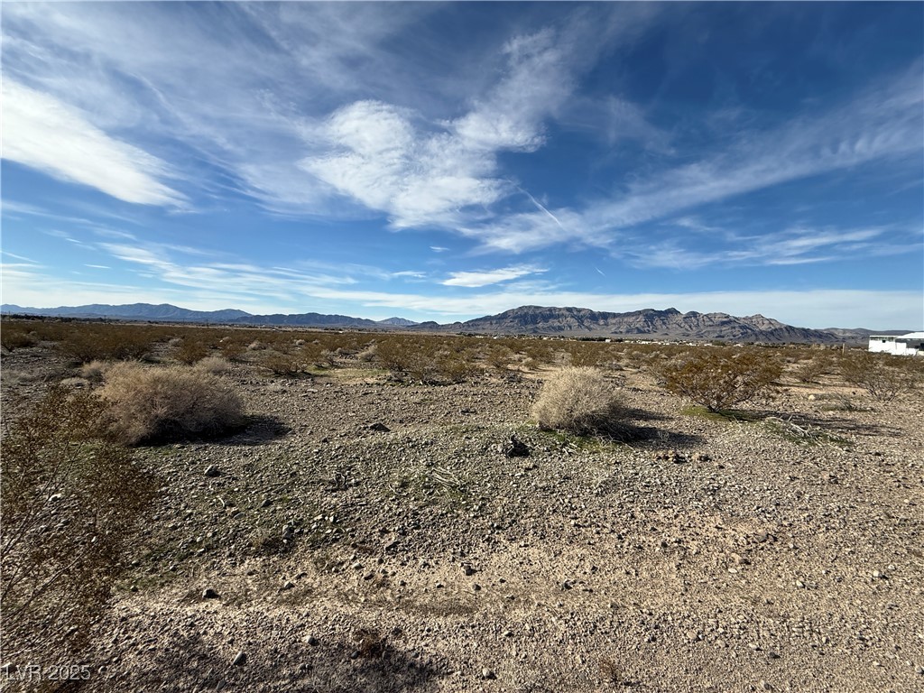 4720 Horizon Avenue Property Photo 3