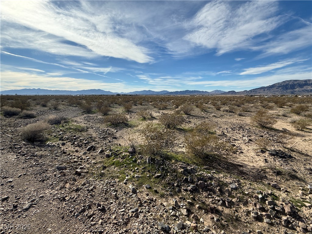 4720 Horizon Avenue Property Photo 4