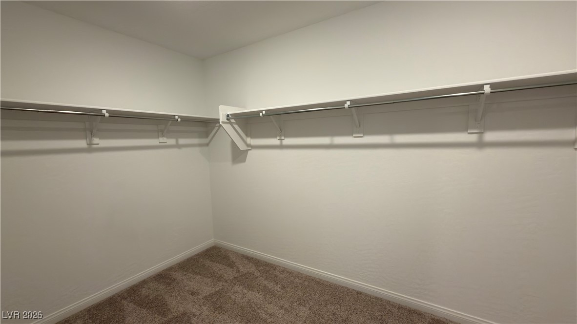 6951 Feather Hill Street Property Photo 15