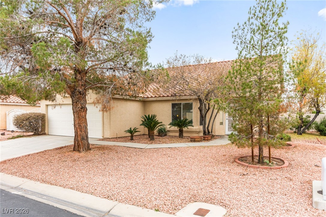 4785 Canna Drive Property Photo 3