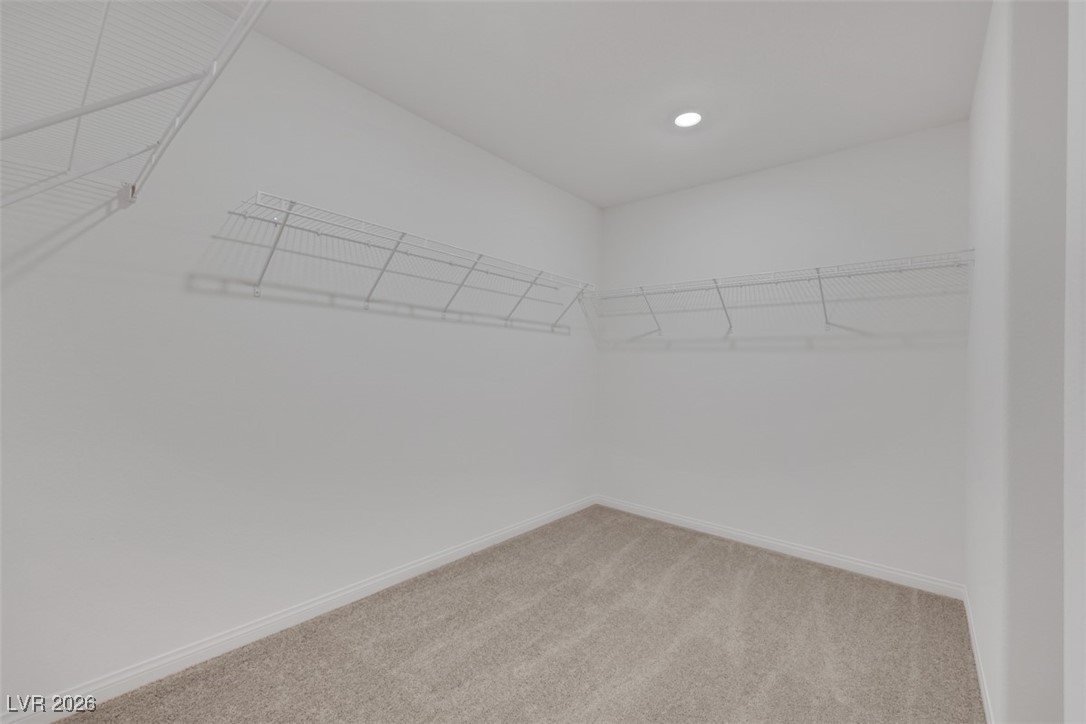 7262 Copper Grove Avenue Property Photo 41