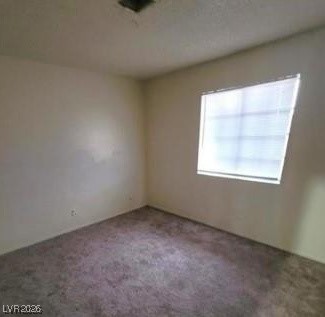 2813 Cacto Court Property Photo 4