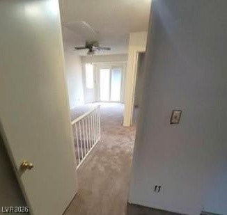2813 Cacto Court Property Photo 7
