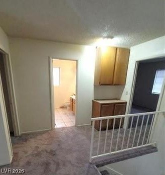 2813 Cacto Court Property Photo 17