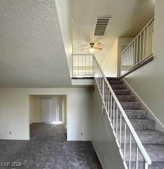 2813 Cacto Court Property Photo 18
