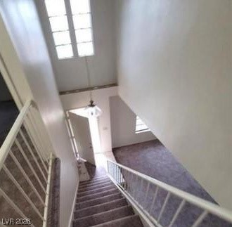 2813 Cacto Court Property Photo 19