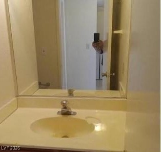 2813 Cacto Court Property Photo 23